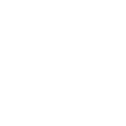 OnlySpin Yönlendir Logo